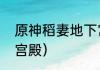 原神稻妻地下宫殿怎么解锁？（地下宫殿）
