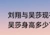 刘翔与吴莎现在有孩子了吗？（刘翔吴莎身高多少？）