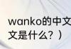 wanko的中文是什么？（wanko的中文是什么？）