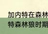 加内特在森林狼前期几年？（求加内特森林狼时期06-07年阵容？）