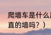 爬墙车是什么原理？（蛇可以爬上垂直的墙吗？）