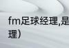 fm足球经理,是哪个公司的？（足球经理）