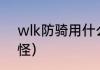 wlk防骑用什么圣印拉怪？（防骑拉怪）