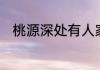 桃源深处有人家6月29日更新内容