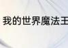 我的世界魔法王国介绍？（魔法王国）