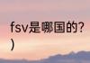fsv是哪国的？（fsv轮胎什么牌子好？）