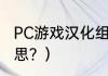 PC游戏汉化组？（yz中文代表什么意思？）