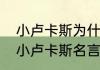 小卢卡斯为什么在法国踢世界杯？（小卢卡斯名言？）