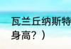 瓦兰丘纳斯特点？（瓦兰丘纳斯实际身高？）