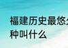 福建历史最悠久传播地域最广泛的拳种叫什么