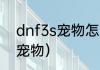 dnf3s宠物怎么得？（dnf2013春节宠物）