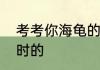 考考你海龟的性别取决于海龟蛋孵化时的