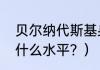 贝尔纳代斯基身高？（贝尔纳代斯基什么水平？）