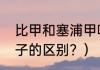比甲和塞浦甲哪个厉害？（比甲和褂子的区别？）