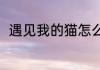 遇见我的猫怎么卖掉（遇见我的猫）