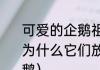 可爱的企鹅祖先还能在空中翱翔.那么为什么它们放弃飞翔了？（飞翔的企鹅）