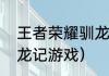王者荣耀驯龙高手是什么意思？（驯龙记游戏）