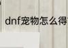 dnf宠物怎么得？（dnf宠物怎么弄）