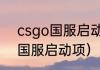 csgo国服启动项如何设置？（csgo国服启动项）
