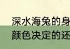 深水海兔的身体颜色是由所食海藻的颜色决定的还是与父母颜色相同