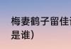 梅妻鹤子留佳话的诗人？（梅妻鹤子是谁）