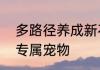 多路径养成新石器时代轻松打造你的专属宠物