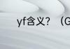 yf含义？（GKD是什么意思啊）