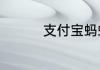 支付宝蚂蚁新村6.4答案