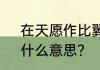 在天愿作比翼鸟，在地愿为连理枝，什么意思？（在天愿作比翼鸟）