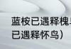 蓝桉已遇释槐鸟全诗的意思？（蓝桉已遇释怀鸟）