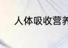 人体吸收营养物质的器官是哪里