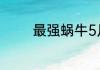 最强蜗牛5月30日最新密令