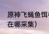 原神飞蝇鱼饵材料采集？（原神马尾在哪采集）