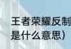 王者荣耀反制是什么意思？（反制位是什么意思）