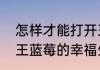 怎样才能打开王蓝莓的幸福生活？（王蓝莓的幸福生活）
