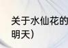 关于水仙花的句子？（水仙如果还有明天）