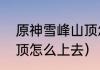 原神雪峰山顶怎么上？（原神雪山山顶怎么上去）