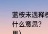 蓝桉未遇释槐鸟，不爱万物唯爱己是什么意思？（蓝桉已遇释槐鸟什么意思）