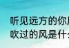 听见远方的你原唱是谁？（我吹过你吹过的风是什么歌名）