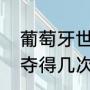 葡萄牙世界杯冠军一共几次（葡萄牙夺得几次世界杯冠军）