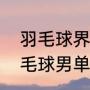 羽毛球界的四大天王（历届奥运会羽毛球男单冠军）