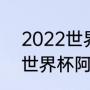 2022世界杯阿根廷队员名单（2014世界杯阿根廷队员名单）