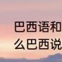 巴西语和葡萄牙语有什么区别（为什么巴西说葡萄牙语）
