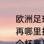 欧洲足球三大杯赛是指哪些历史战绩再哪里找谢谢（欧洲三大杯都是哪三个杯赛）