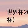 世界杯2021年（2021是第几年世界杯）