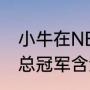 小牛在NBA历史上得几次冠军（小牛总冠军含金量）