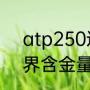 atp250巡回赛冠军含金量高吗（世界含金量最高的竞赛）