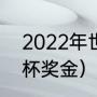 2022年世俱杯比赛结果（2022世俱杯奖金）