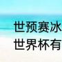 世预赛冰岛对罗马尼亚比分（卡塔尔世界杯有冰岛吗）