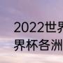 2022世界杯门票分配方案（2022世界杯各洲名额分配原则）